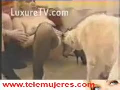 In this beast video, a cute girlfriend assists her blond, sultry companion in getting pussy raped by a dog.